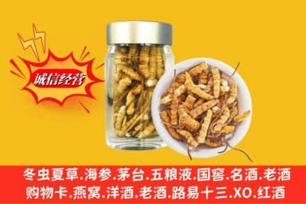 忻州市回收散虫草