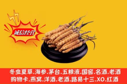 忻州市求购回收虫草多少钱每克